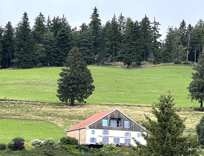 Maison D'Hotes Des Hauts De La Piquante Pierre Basse-sur-le-Rupt Εξωτερικό φωτογραφία